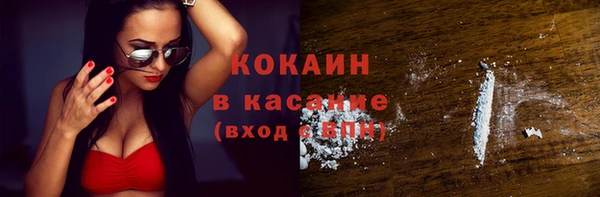 PSILOCYBIN Заводоуковск