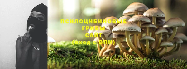 apvp Зеленодольск