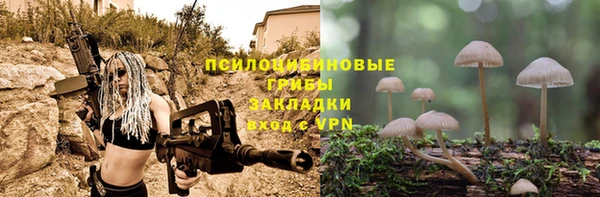 apvp Зеленодольск
