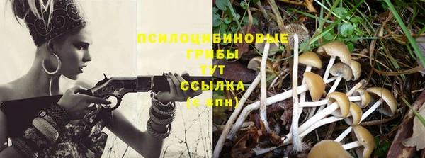 спайс Заволжск