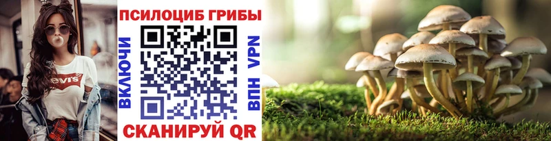 Галлюциногенные грибы GOLDEN TEACHER Купить закладки Рыльск