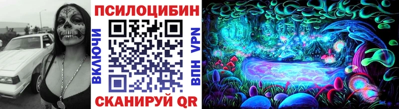 Галлюциногенные грибы Psilocybe Рыльск